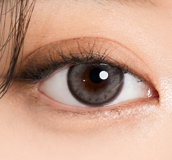 I-SHA Molton Ash Brown (10p) colored contact lens, 13.1mm graphic diameter, Daily wear