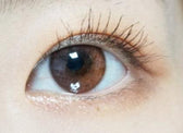 I-SHA Oriana Shade Brown