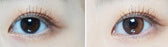 I-SHA Oriana Shade Brown