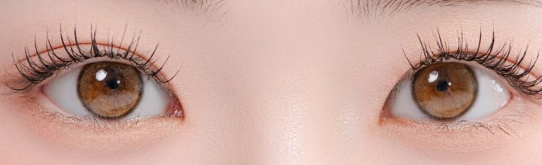 LensRang Bebe Brown colored contact lens, 13.4mm graphic diameter, Monthly wear
