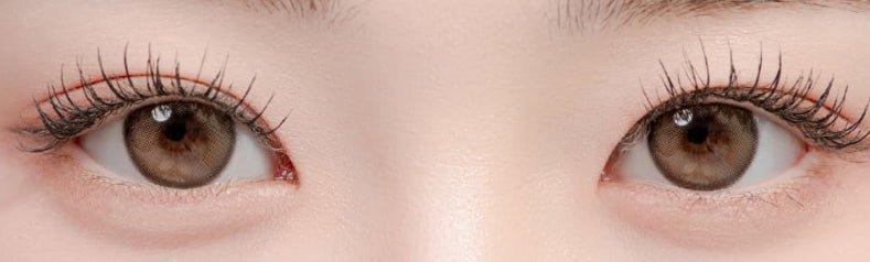 LensRang Sugar Cream Ash Brown colored contact lens, 13.6mm graphic diameter, Monthly wear