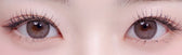 LensRang Sugar Cream Ash Choco colored contact lens, 13.6mm graphic diameter, Monthly wear