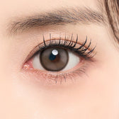 LensTown Back to Basic DOLCEBABA Ash Beige Brown colored contact lens, 13.7mm graphic diameter, 3-6 Months wear