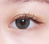 LensTown Back to Basic DOLCEBABA Ash Gray colored contact lens, 13.7mm graphic diameter, 3-6 Months wear