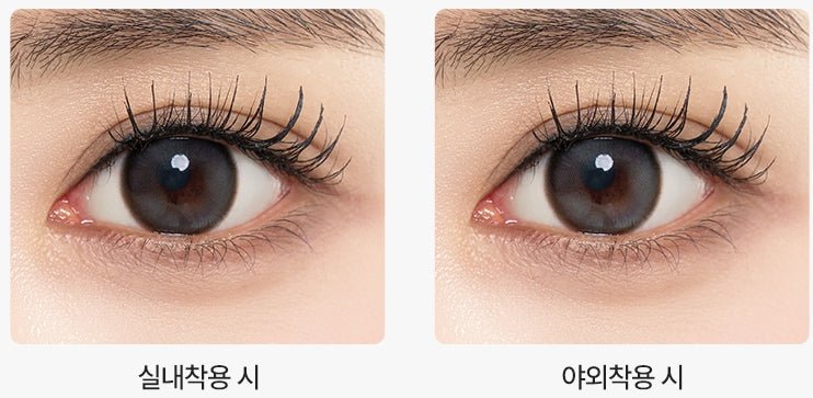 LensTown Back to Basic DOLCEBABA Ash Gray colored contact lens, 13.7mm graphic diameter, 3-6 Months wear