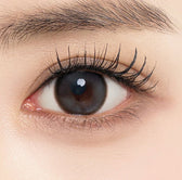 LensTown Back to Basic DOLCEBABA Ash Gray colored contact lens, 13.7mm graphic diameter, 3-6 Months wear