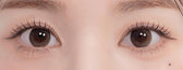 LensTown Daisy Dream Brown colored contact lens, 13.5mm graphic diameter, Monthly wear