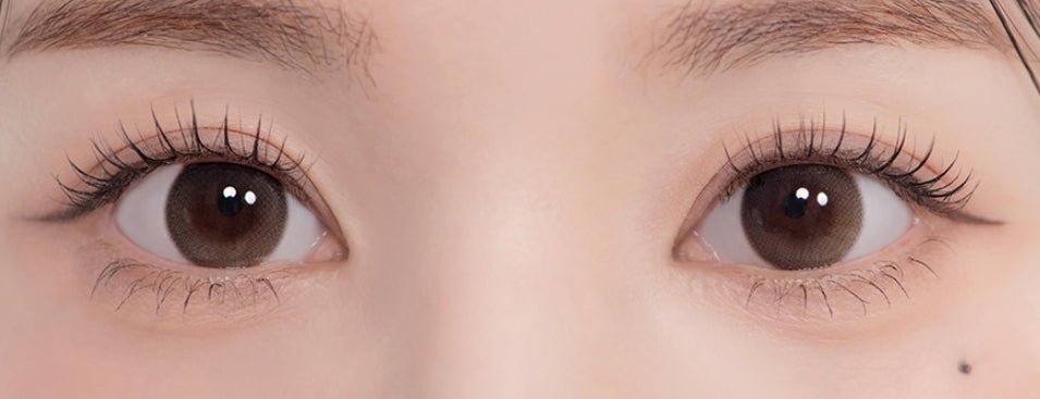 LensTown Daisy Dream Brown colored contact lens, 13.5mm graphic diameter, Monthly wear