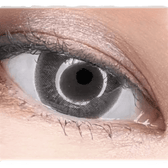 LensTown Davivi2 Gray — single-eye close-up showing the contact lens appearance