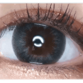 LensTown Davivi2 Gray — single-eye close-up showing the contact lens appearance