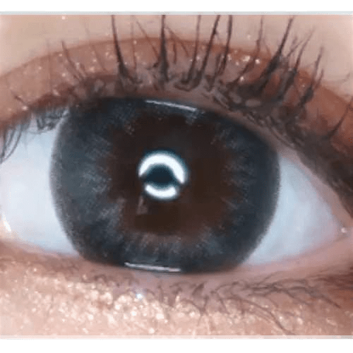 LensTown Davivi2 Gray — single-eye close-up showing the contact lens appearance