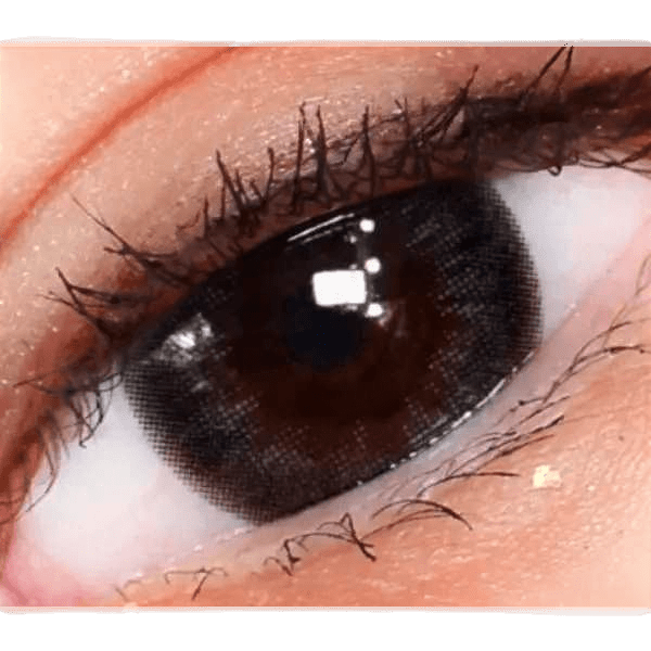 LensTown Davivi2 Gray — single-eye close-up showing the contact lens appearance
