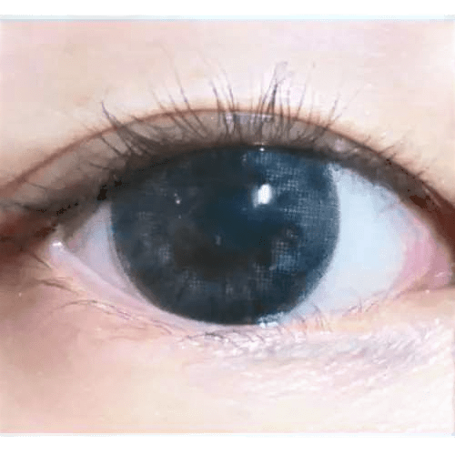 LensTown Davivi2 Gray — single-eye close-up showing the contact lens appearance