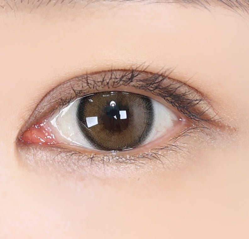 LensTown Eleva Beige Brown colored contact lens, 13.2mm graphic diameter, Monthly wear