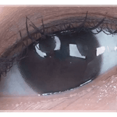 LensTown Konimo2 Choco — single-eye close-up showing the contact lens appearance
