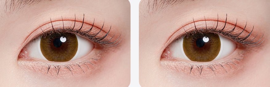 LensTown Lighly Classic Plus Brown (20p) colored contact lens, 13.7mm graphic diameter, Daily wear