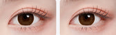 LensTown Lighly Classic Plus Choco (20p) colored contact lens, 13.7mm graphic diameter, Daily wear