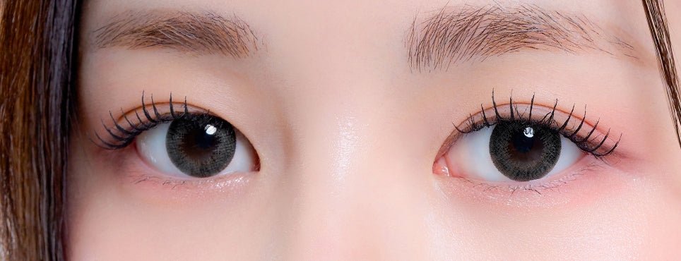 LensTown Lighly Classic Plus Gray (20p) colored contact lens, 13.7mm graphic diameter, Daily wear