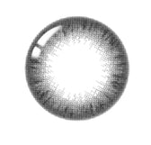 LensTown Lighly Classic Plus Gray (20p) colored contact lens, 13.7mm graphic diameter, Daily wear