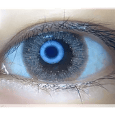 LensTown Lighly Lily Marry Brown (20p) — single-eye close-up showing the contact lens appearance