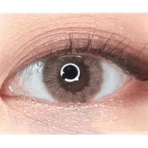 LensTown Lighly Lily Marry Brown (20p) — single-eye close-up showing the contact lens appearance
