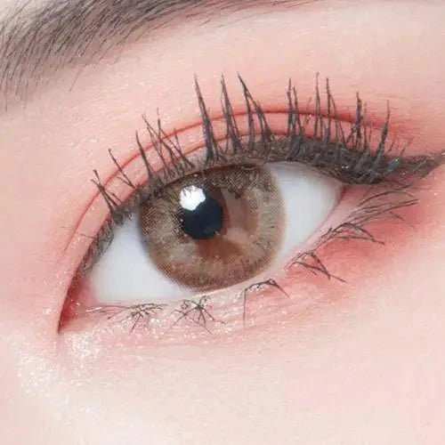 LensTown Lighly Lily Marry Brown (20p) — single-eye close-up showing the contact lens appearance