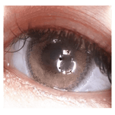 LensTown Lighly Rose Beige (30p) — single-eye close-up showing the contact lens appearance