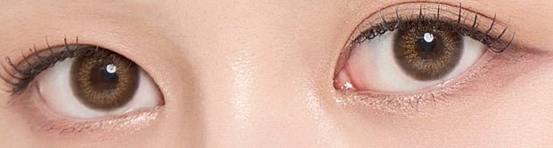LensTown Renaissance Brown — both eyes wearing the contact lenses
