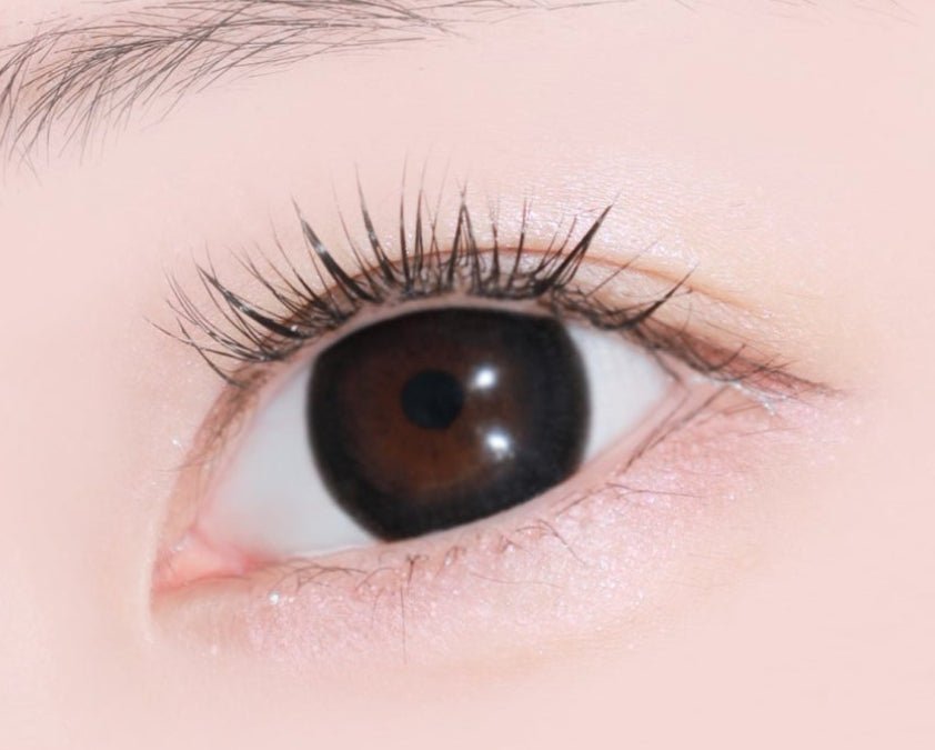 LensTown Scotch 3color Black colored contact lens, 14.0mm graphic diameter, Monthly wear