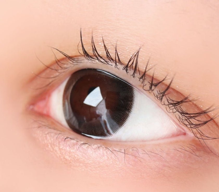 LensTown Scotch 3color Black colored contact lens, 14.0mm graphic diameter, Monthly wear