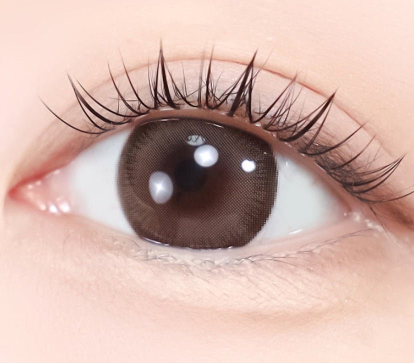 LensTown Scotch 3color Brown colored contact lens, 14.0mm graphic diameter, Monthly wear