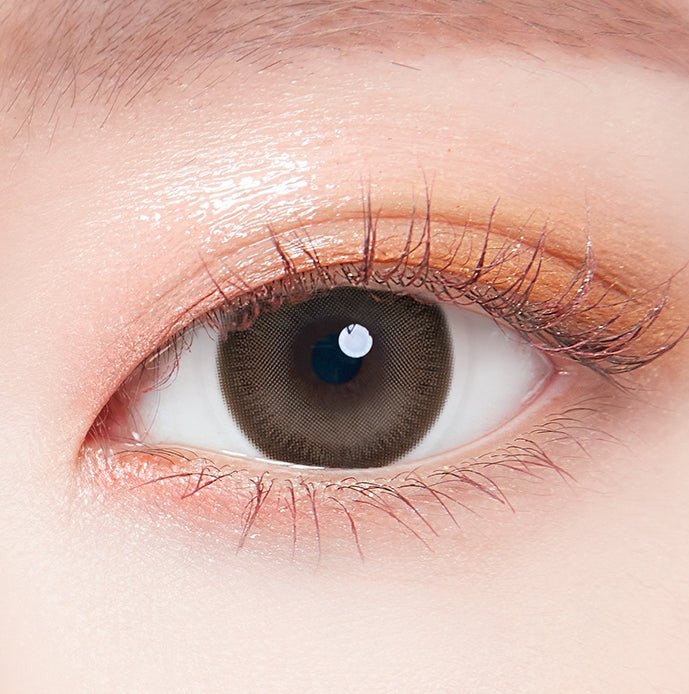 LensTown Scotch 3color Brown colored contact lens, 14.0mm graphic diameter, Monthly wear