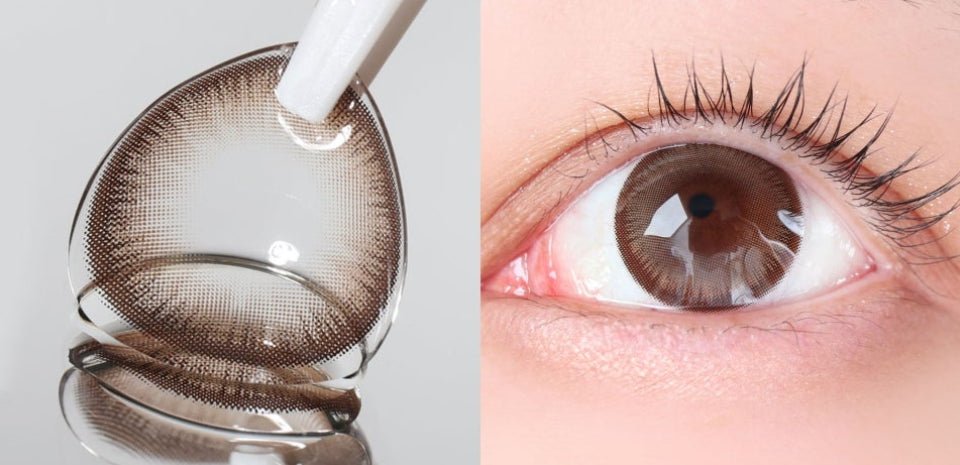 LensTown Scotch 3color Brown colored contact lens, 14.0mm graphic diameter, Monthly wear