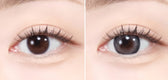 LensTown Scotch 3color Gray colored contact lens, 14.0mm graphic diameter, Monthly wear