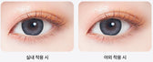 LensTown Scotch 3color Gray colored contact lens, 14.0mm graphic diameter, Monthly wear