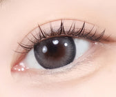 LensTown Scotch 3color Gray colored contact lens, 14.0mm graphic diameter, Monthly wear