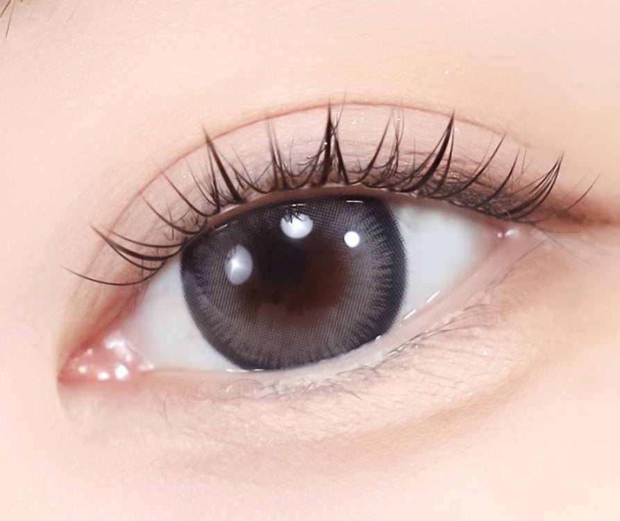 LensTown Scotch 3color Gray colored contact lens, 14.0mm graphic diameter, Monthly wear