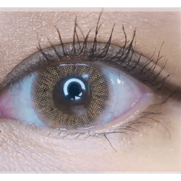LensVery Anello No.1 Brown — single-eye close-up showing the contact lens appearance
