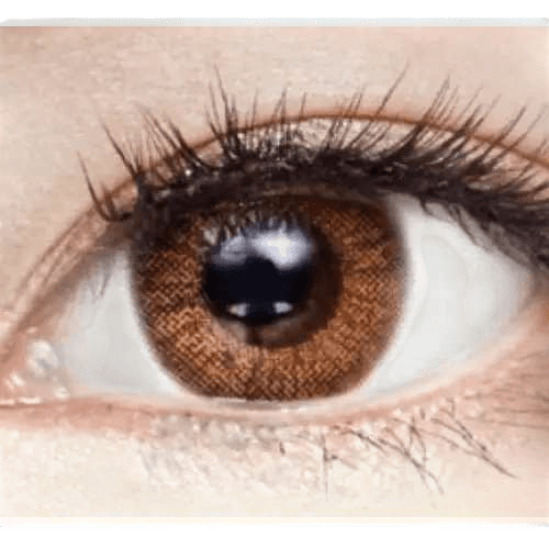 LensVery Anello No.1 Brown