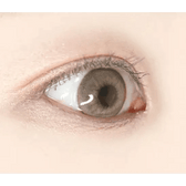 LensVery Buttercup 1Day Beige (10p)