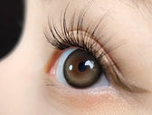 LensVery Butterflos Beige Brown colored contact lens, 12.8mm graphic diameter, Monthly wear