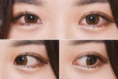LensVery Dandy Brown colored contact lens, 13.5mm graphic diameter, 3-6 Months wear
