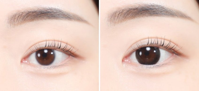 LensVery Just Mega Black colored contact lens, 14.2mm graphic diameter, Monthly wear