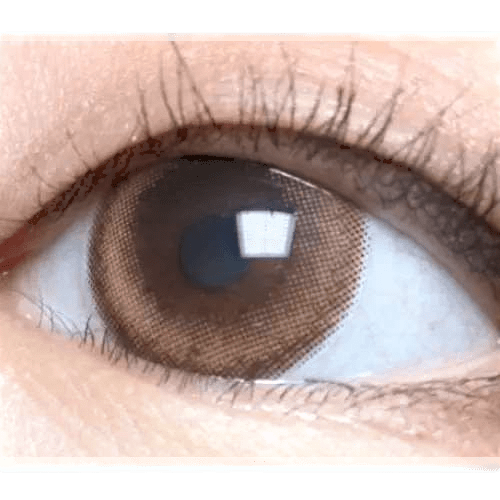 LensVery My Ann Only Brown — single-eye close-up showing the contact lens appearance