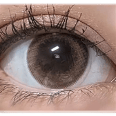 LensVery My Ann Only Brown — single-eye close-up showing the contact lens appearance