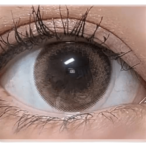 LensVery My Ann Only Brown — single-eye close-up showing the contact lens appearance