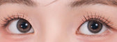 LensVery Powdery Brown colored contact lens, 13.4mm graphic diameter, Monthly wear