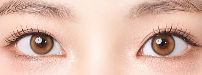 LensVery Ruddy Brown colored contact lens, 13.3mm graphic diameter, Monthly wear