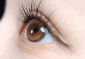 LensVery Ruddy Brown colored contact lens, 13.3mm graphic diameter, Monthly wear