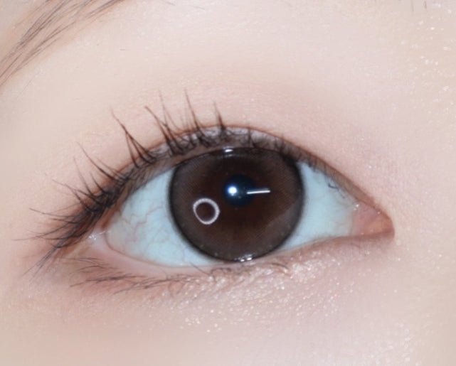 LensVery ShuShu 1Day Brown (10p) colored contact lens, 13.6mm graphic diameter, Daily wear